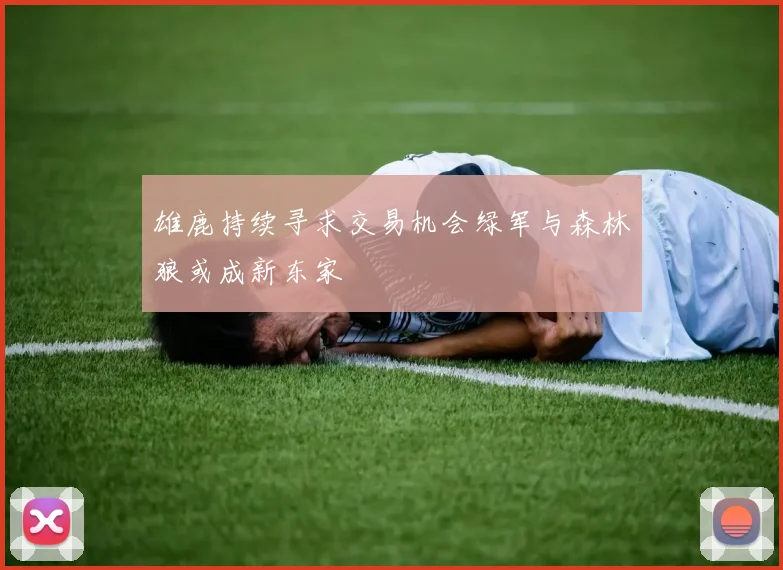雄鹿持续寻求交易机会绿军与森林狼或成新东家